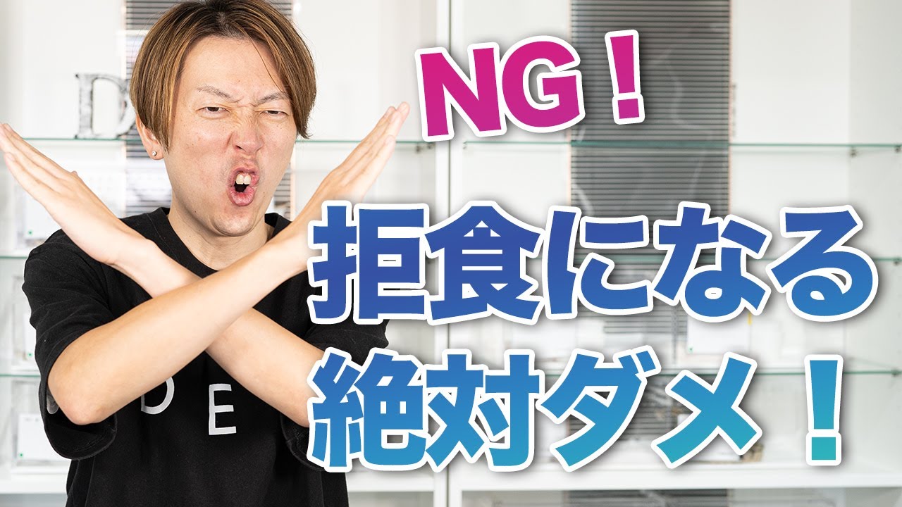 要注意 拒食になる3つの餌やりng ボールパイソンと飼育 Youtube