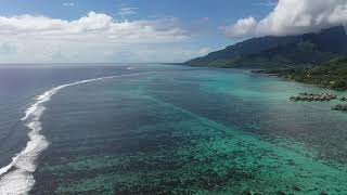 Moorea, French Polynesia (Drone Footage)