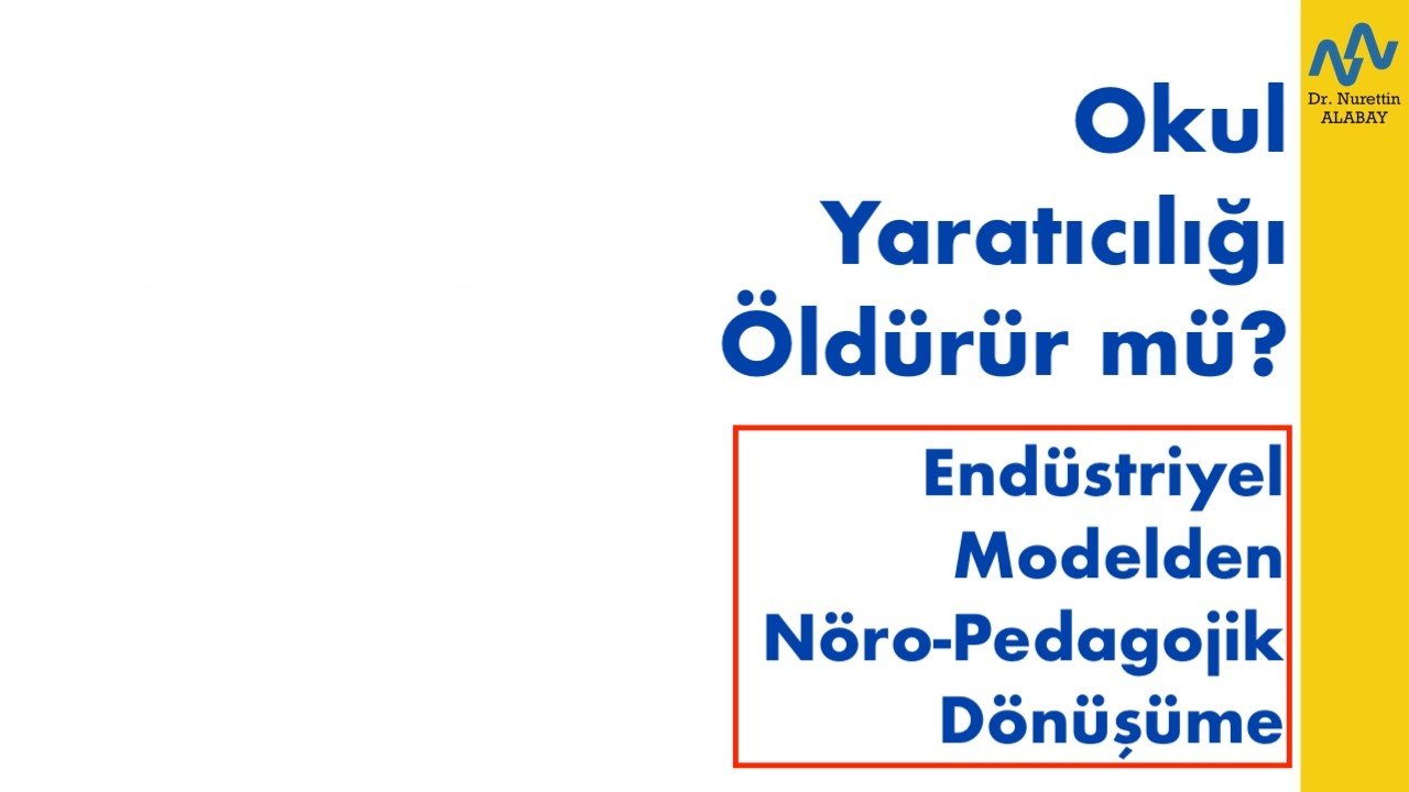 Okul Yaratıcılığı Öldürür mü?