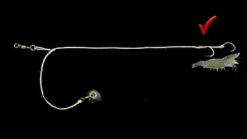 Làm Thẻo Câu Cá Biển , Mồi Tôm Sống , Câu Cá Mú, Vược ,Chẽm , cá hồng , ở rạn . Đá | FISHINGHOOK