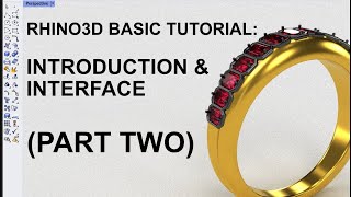 Celebrity Rhino 3D Beginner Tutorial: Introduction & Interface (Part 2 - Osnap and Layers) Wealth