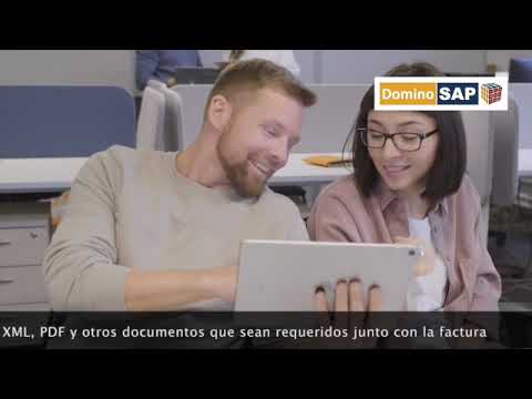 Portal de Proveedores - DominoSAP