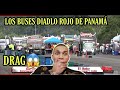 LOS BUSES DIABLO ROJO DE PANAMÁ 😳 DRAG HACEN CARRERAS 😱🇵🇦