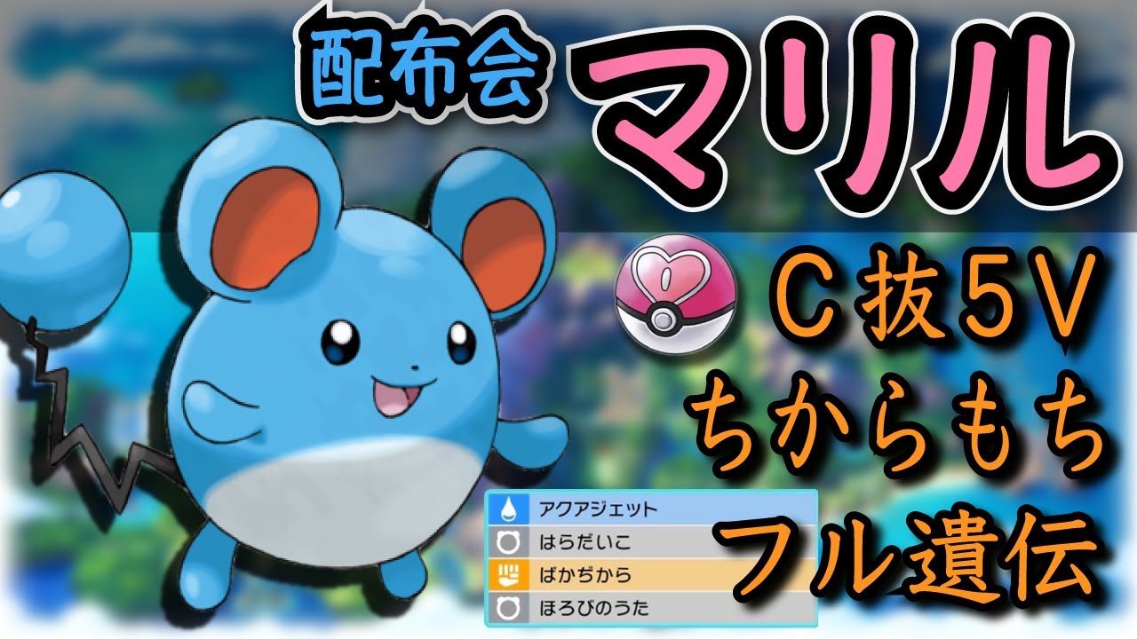 ダイパリメイク配布会 ラブボc抜け５v ちからもちマリル配布会 sp 孵化余り交換会 ポケモン 理想個体 フル遺伝 Youtube