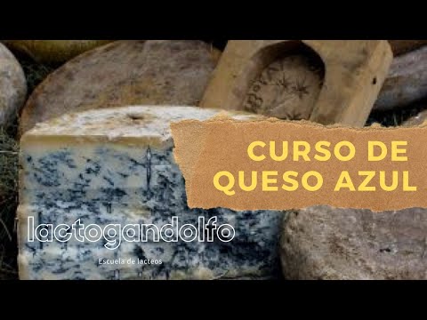 Video: Elaboración Casera De Queso Y Sabrosa Receta De Stilton Y Ndash; Queso Con Moho Azul. Parte I