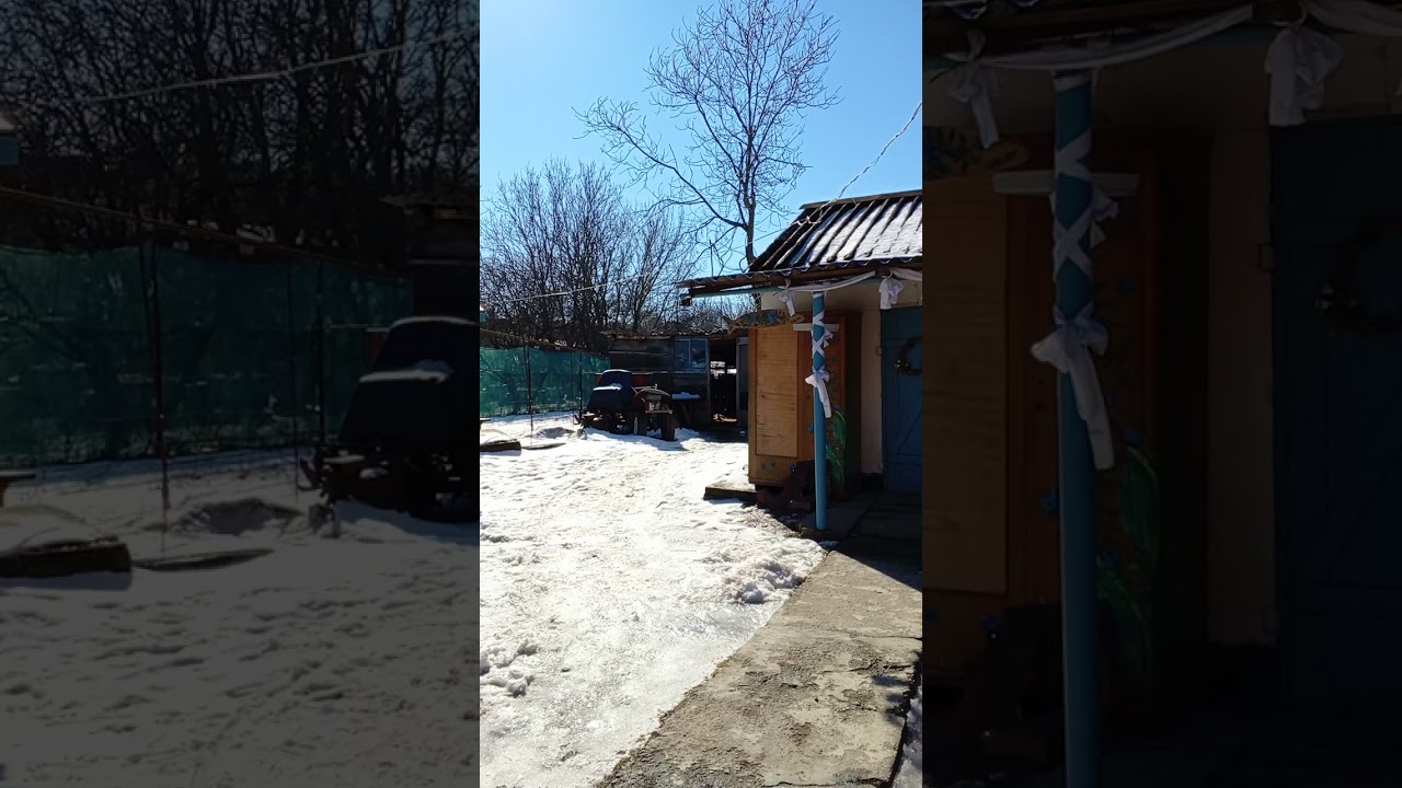 Вы имеете право не отвечать на вопросы. В наши края прилетела Весна. Харьковская область.