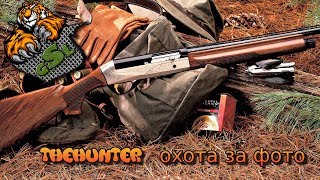 theHunter: Call of the Wild™. Сделать фотографию европейской лани theHunter: Call of the Wild™. Сделать фотографию европейской лани