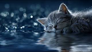 3 Hours of Cat Sleep Music 🐾 Soft Haven Piano for Calm Cat Sleep | Mellow Cat Dreams screenshot 5