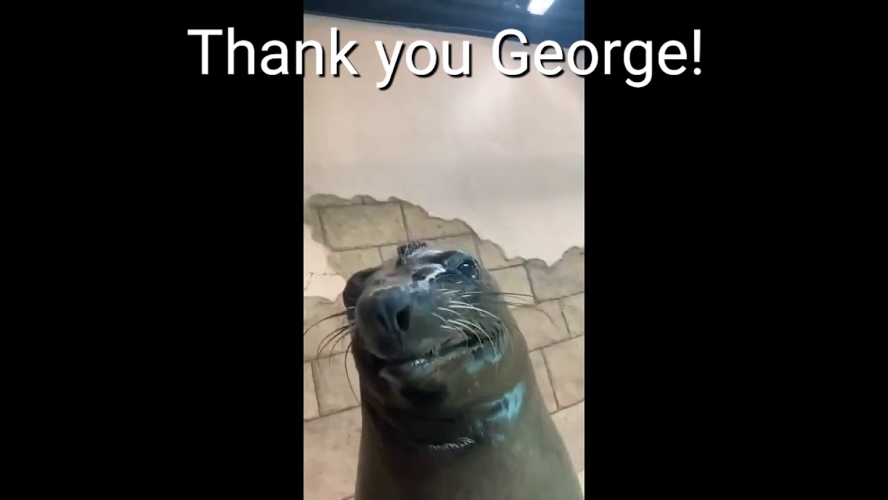 Thanks George Thank you George! - YouTube