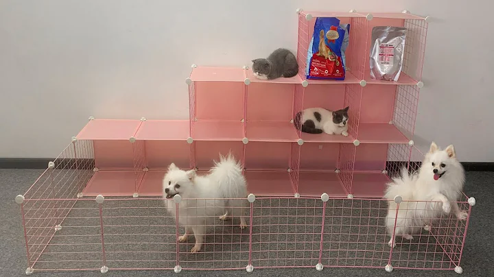 Watch the video about DIY Terraced House for Pomeranian Dogs and Siamese Russian Persian Cats - Cute Puppies - MR PET 123