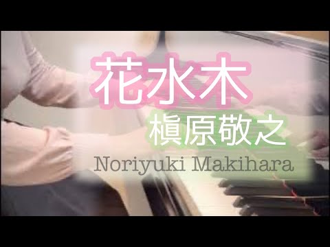 花水木 : 槇原敬之 /Cornus florida : Noriyuki Makihara