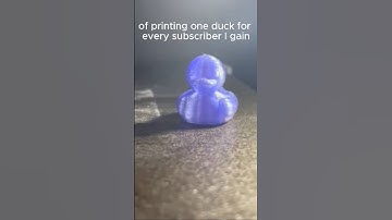 Day 1 of printing one duck for every subscriber I get!