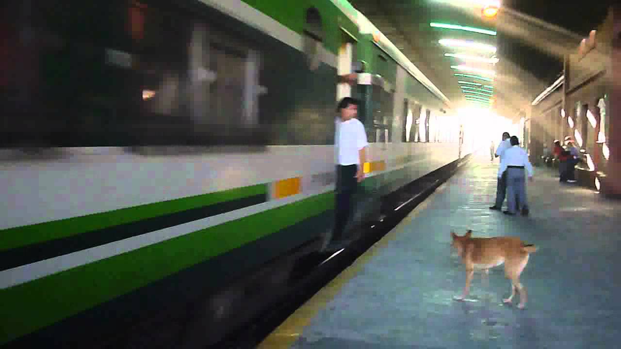 TREN 265 INGRESANDO A LA BANDA CON LA GM GT22cw 9021 DEL DIA SABADO