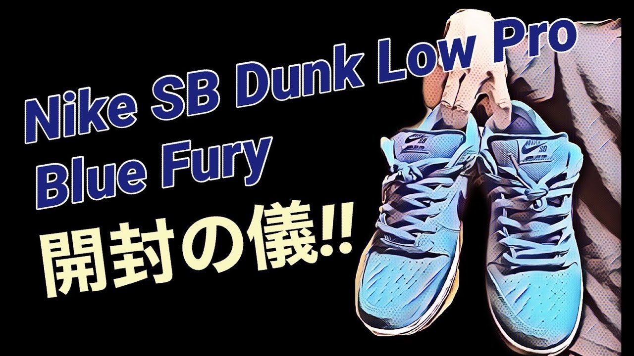 Unboxing] Nike SB Dunk Low Pro 