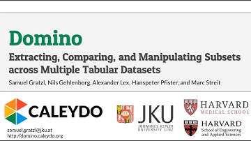 Preview for Domino Paper @ IEEE InfoVis 2014