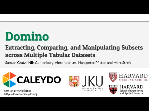 Preview for Domino Paper @ IEEE InfoVis 2014