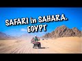🇪🇬Safari in Desert Sahara. The trip from Sunrise Royal Makadi Resort 5*. EGYPT, Hurghada 2016 مصر