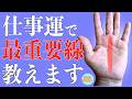 【超重要!】仕事運丸分かりの手相徹底解説!鑑定歴27年占い師の手相勉強会第4回。#手相 #仕事運