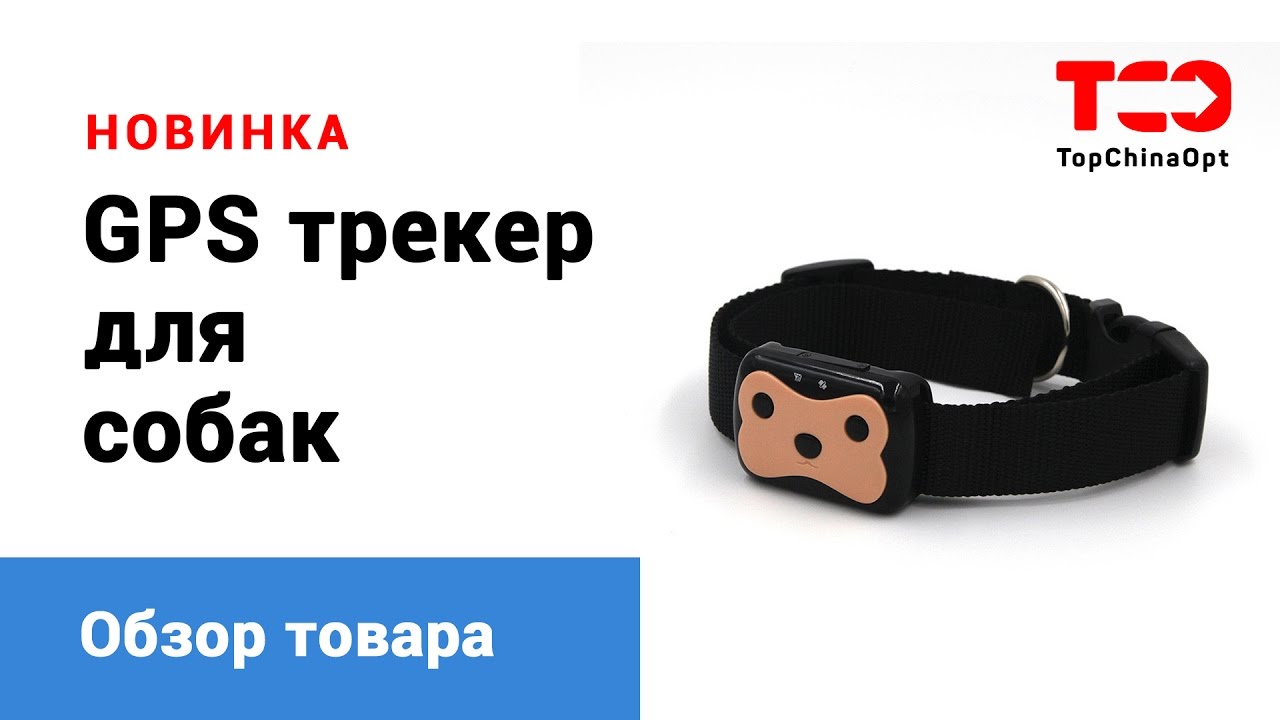 GPS трекер для собак