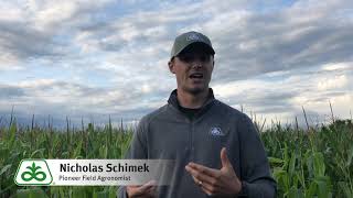 Preparations for Seeding Winter Wheat