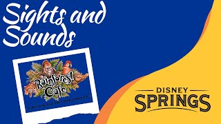 Rainforest Cafe Disney Springs Sights and Sounds December 7, 2023 Walt Disney World