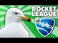 Zigounoune  rocket league ftterracid  gydias