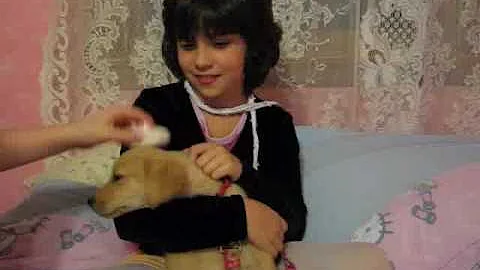 hannahshow