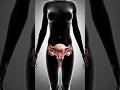 😱Sperm Death in the Uterus | Fully Natural Female Reproductive Organs#shorts #anatomy #animation