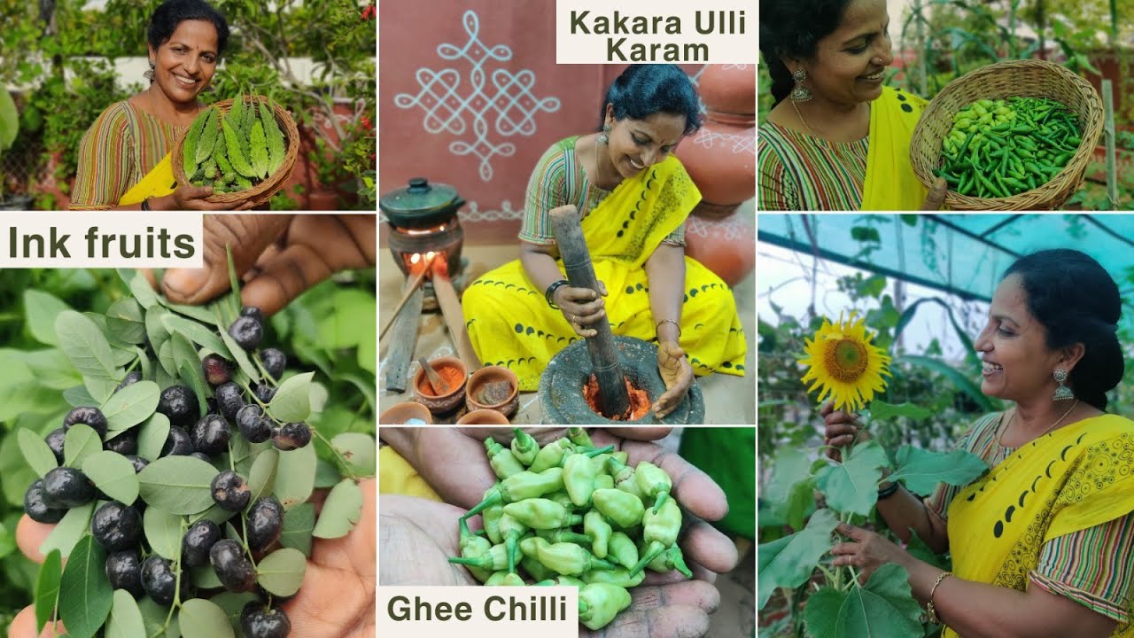 అరుదైన చిన్ననాటి ఇంక్ పళ్ళు🍇 కాకర కాయ ఉల్లి కారం👌Ghee Chilli 🌶#saileelastore