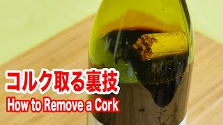 ワインの瓶の中に入ったコルクを取る裏技 How to remove broken cork with rope