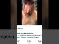 #proboscismonkey lemongon #monkeynature #funny #monkeys @懂投哥