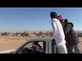 @سباق هجانه  جذاع المركز الاول (شاهين  )لمالكه   عواد عيد  الترابين   4كم ـوادي عربهIMG 3470