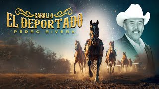 La Historia REAL de "Caballo El Deportado" | Don Pedro Rivera (Lyric Video)