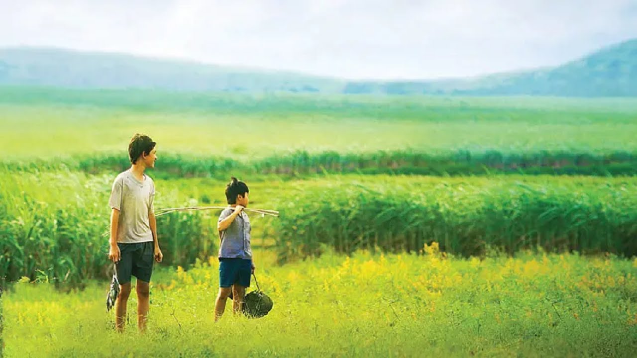 近年看过最好的冷门电影，简单、真诚又清新，看完不好的心情都被治愈了！【光影】