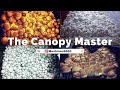 The canopy master mushman9000    the mycogeeky podcast