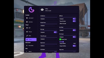 CS2 Cheats - Undetected Hacks, Soft Aimbot, Wallhack, ESP, Skins