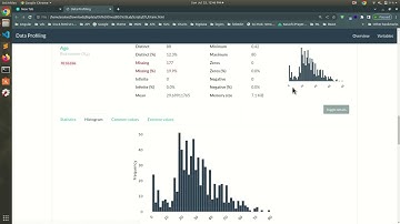 Data Profiling In Just One Second #data #profile #datascience  #arsdev #subscribe