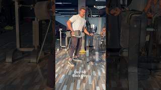 Day 68 Back Workout.#gym #shorts #ytshorts #shortvideo #youtubeshorts