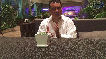 VCW Introduction: Full Interview with VCW Creator (Luis F. Lages)