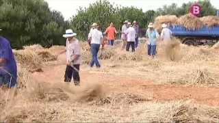 La Fira de Segar i Batre a s'Alqueria Blanca