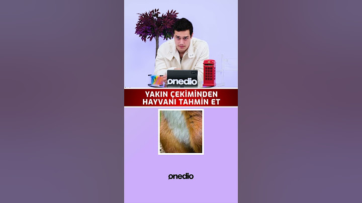 Yakın Çekiminden Tahmin Et 😂 Sahipsizler Kaan Mirac Sezen Yarışıyor 😂 #shorts #shortsvideo