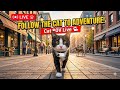 See the World Through a Cat's Eyes | Cat POV Cam Live