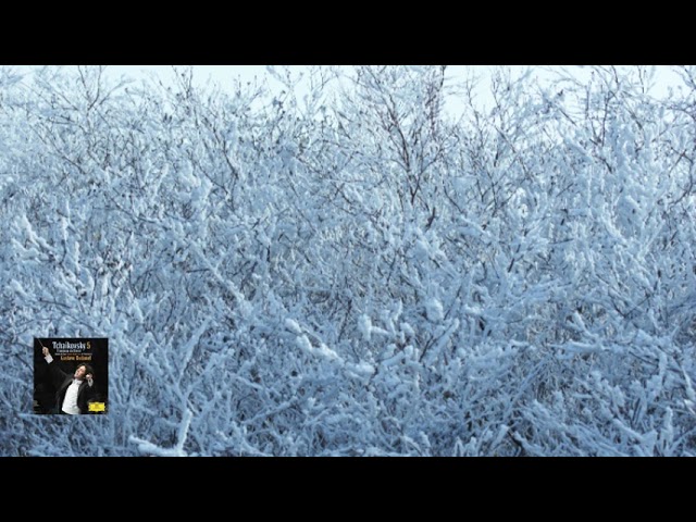 YouTubeでチャイコフスキー:交響曲 第5番 ホ短調 作品64 ドゥダメル 2008を視聴 YouTubeでチャイコフスキー:交響曲 第5番 ホ短調 作品64 ドゥダメル 2008を視聴