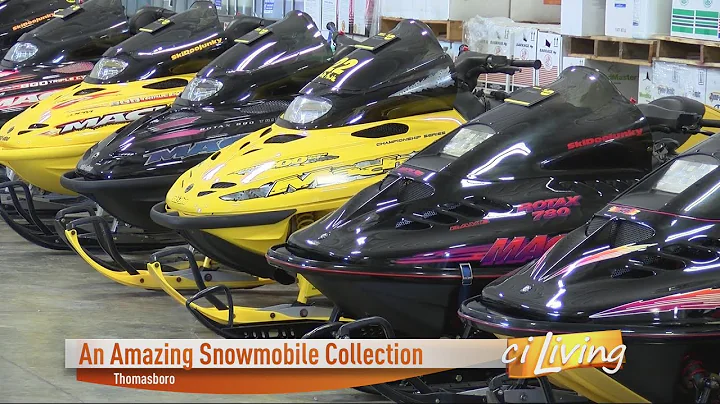 Giant Snowmobile Collection in Thomasboro