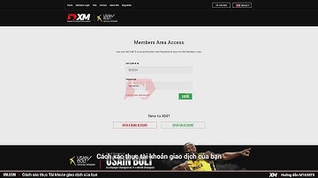 XM.COM - Hướng dẫn MT4/MT5 - Cách xác thực Tài khoản giao dịch của bạn - (VN)