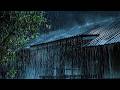 Relaxing Rain Sounds for Deep Sleep 🌧️ Night Storm, Heavy Rain on Tin Roof & Thunderstorm Sounds