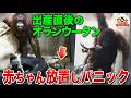 「旭山動物園」でオランウータンが初めて出産!しかし母親が大パニックに!1m下コンクリート床に赤ちゃん転落危機【どうぶつ奇想天外/WAKUWAKU】