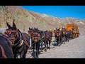 The making of 20 mule team  death valley days tv series
