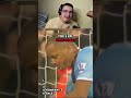 Gols contra... #futebol  #loucosporfutebol #viralvideo #shorts