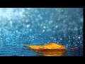 ふきのとう『12月の雨』(カヴァー曲)
